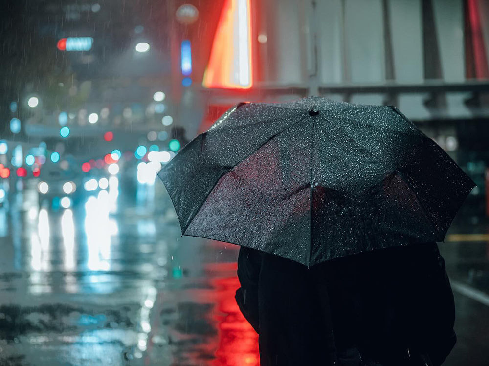 Capturing Life Through the Lens: Daniel